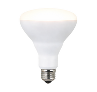 LED Flood and Spot Bulbs